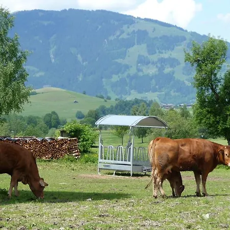 Haus Mayr Maria Alm am Steinernen Meer